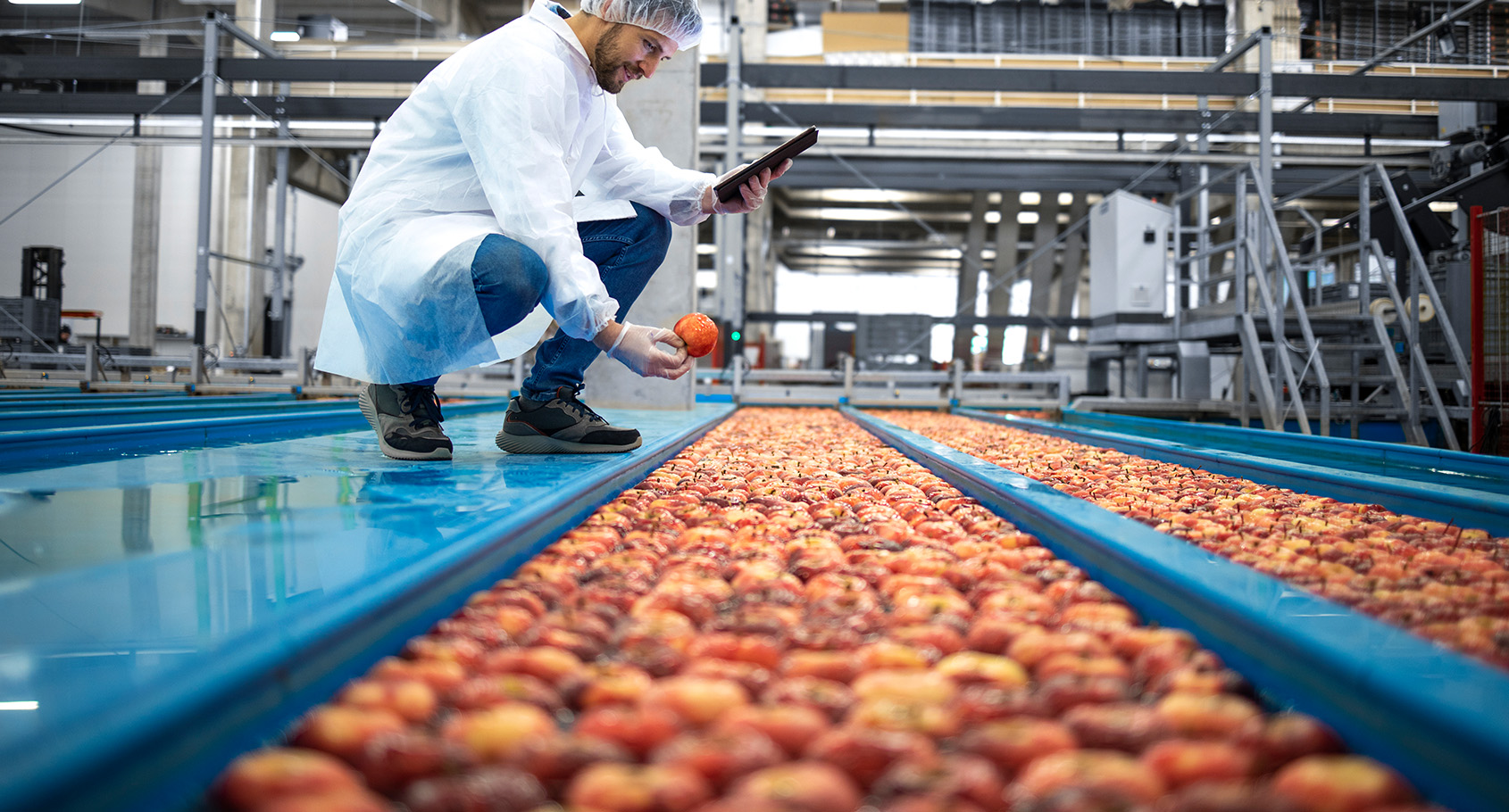 Man inspecting apples