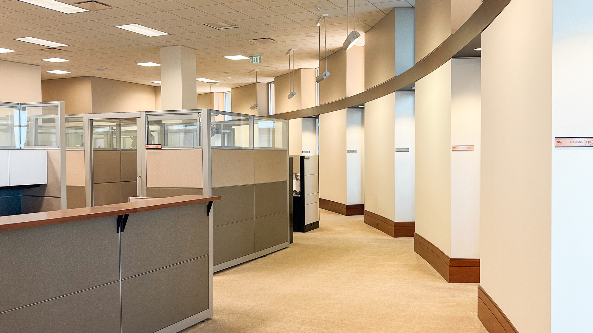 1000 Louisiana Bullpen Photo